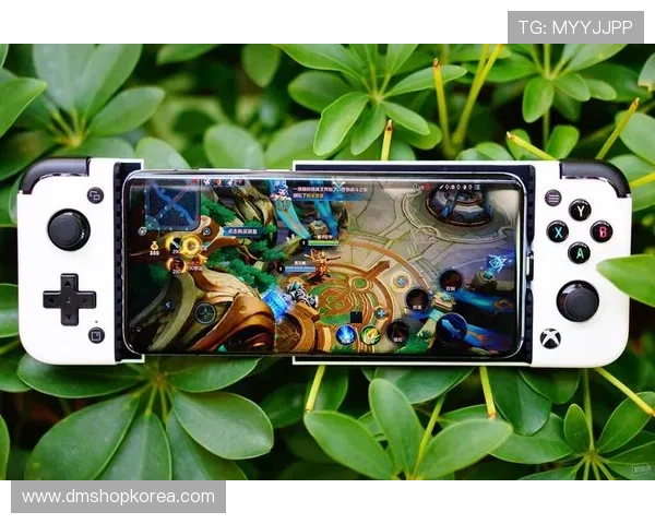 好博体育官网网页版支持多平台同步登录，随时随地畅玩热门网络游戏